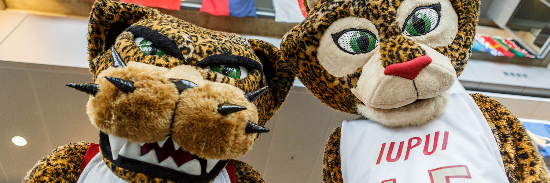 Jawz and Jazzy, two of IUPUI's mascots, fiercely looking at the camera.